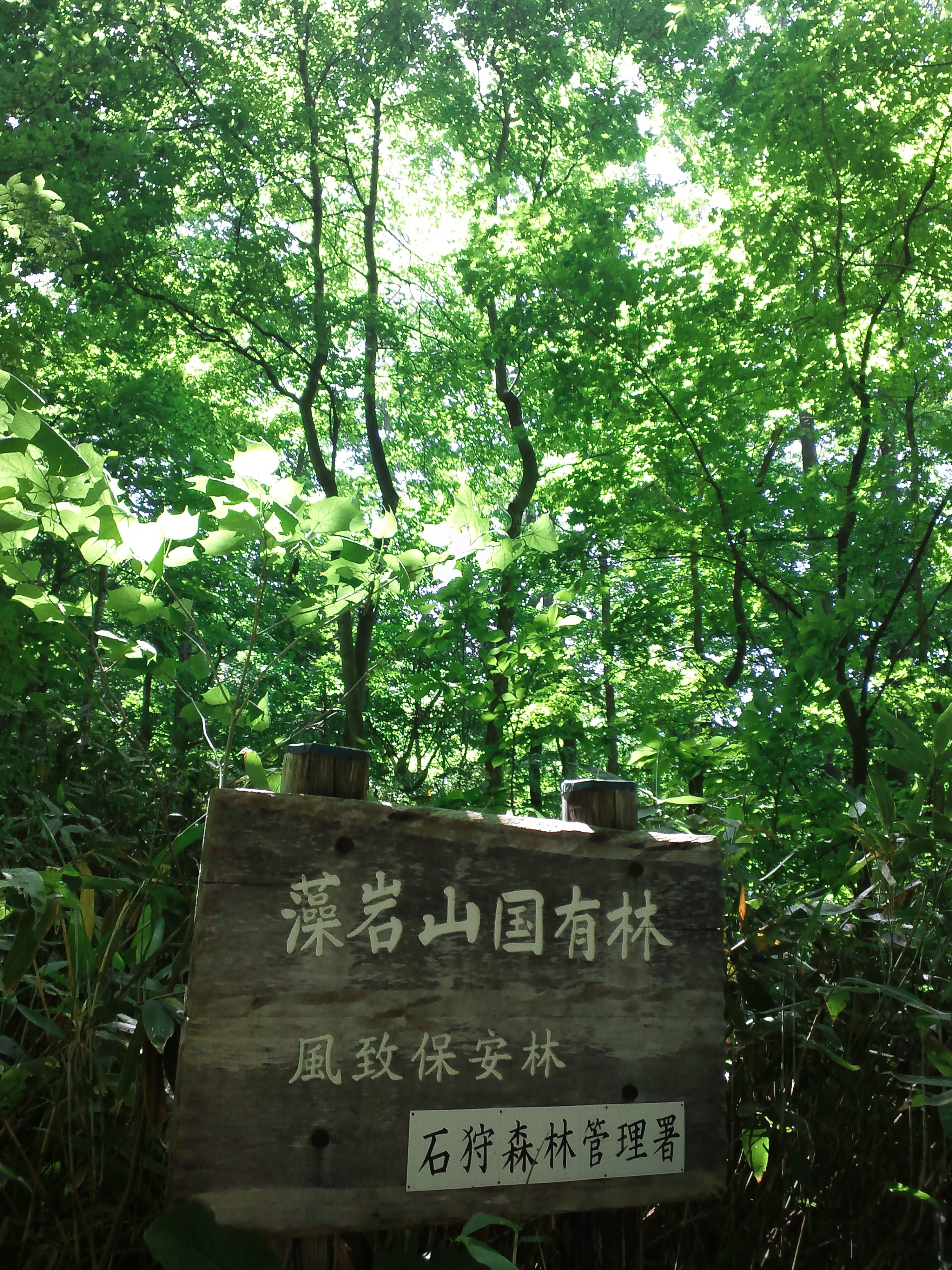 http://www.miyatadc-ike.com/DSC_0863.JPG