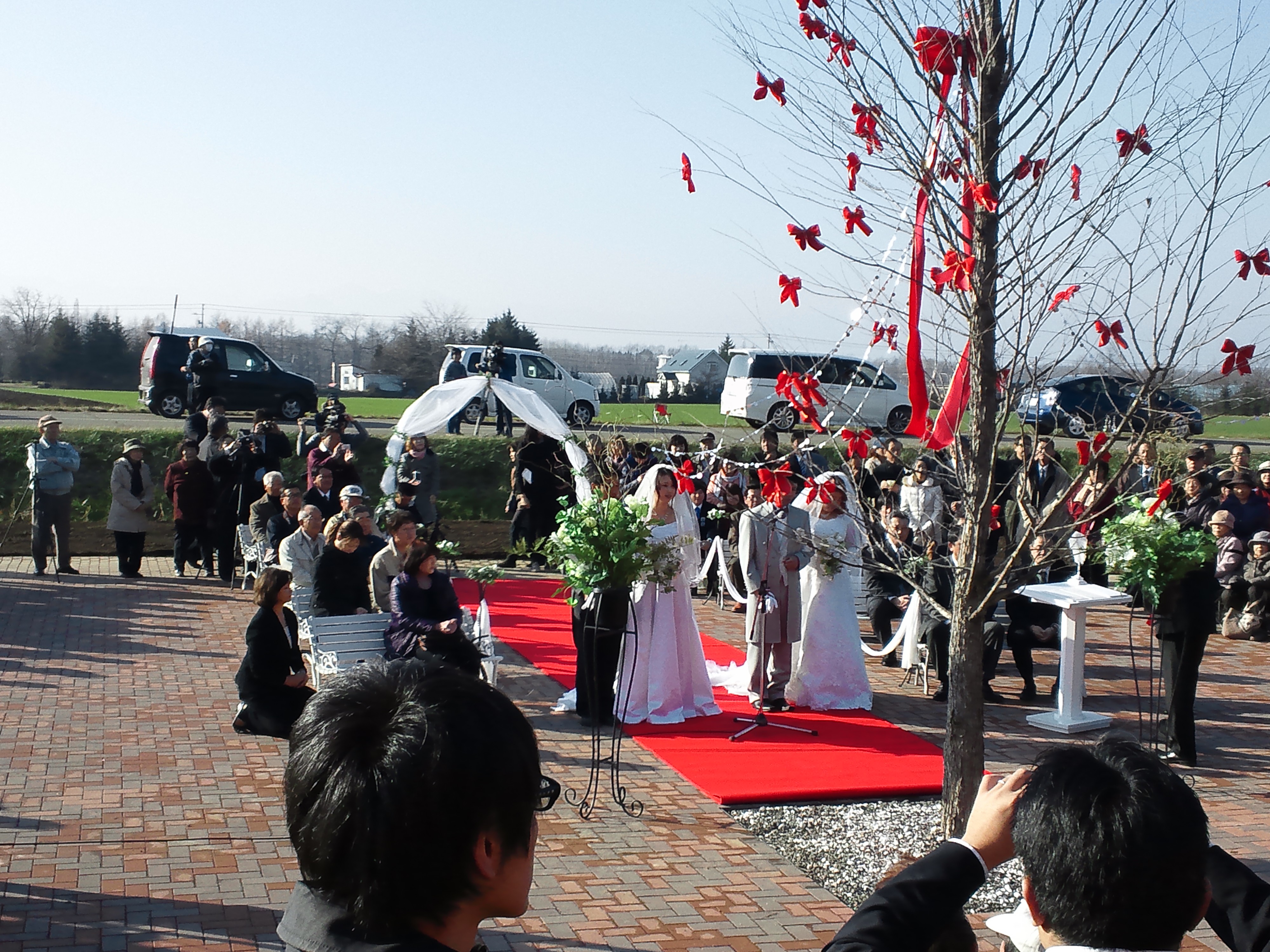 http://www.miyatadc-ike.com/DSC_1281.JPG