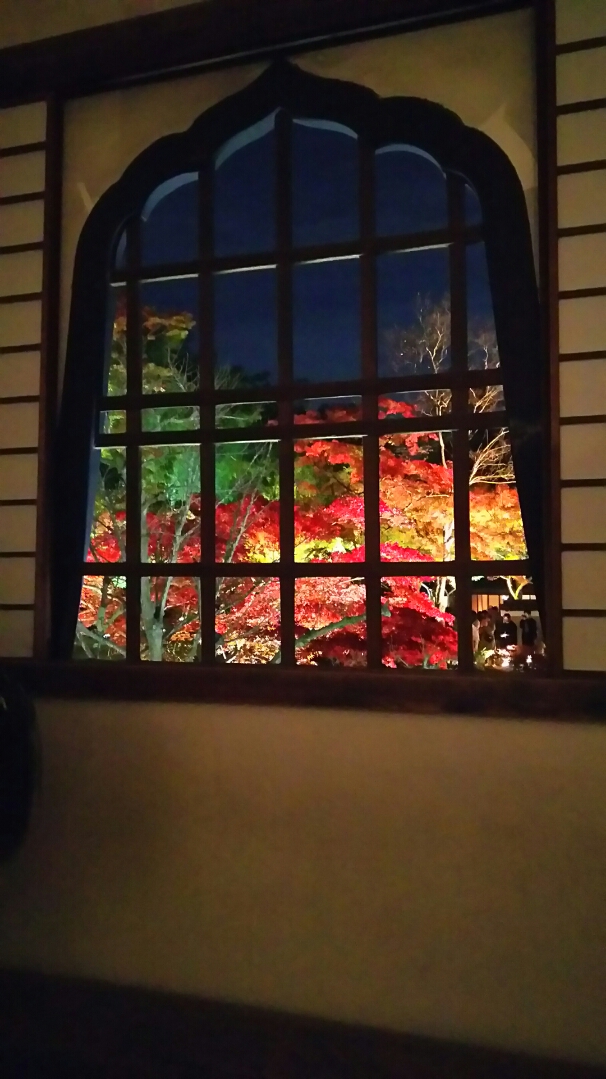 http://www.miyatadc-ike.com/DSC_1322.JPG