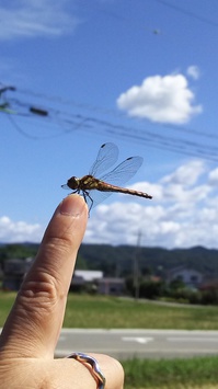 DSC_0242.JPGのサムネイル画像