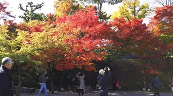 DSC_1443.JPGのサムネイル画像